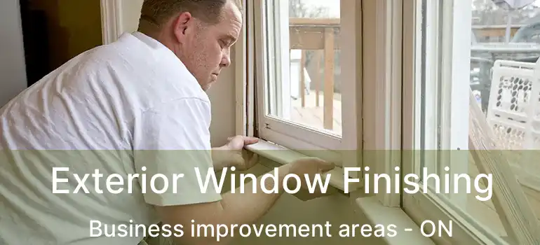  Exterior Window Finishing Business improvement areas - ON