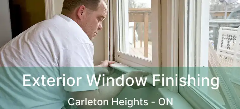  Exterior Window Finishing Carleton Heights - ON