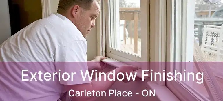  Exterior Window Finishing Carleton Place - ON