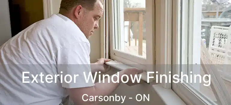  Exterior Window Finishing Carsonby - ON