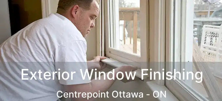  Exterior Window Finishing Centrepoint Ottawa - ON