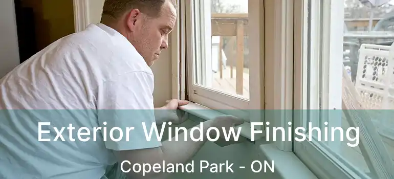  Exterior Window Finishing Copeland Park - ON