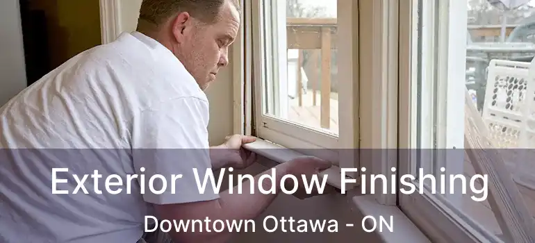  Exterior Window Finishing Downtown Ottawa - ON