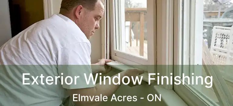  Exterior Window Finishing Elmvale Acres - ON