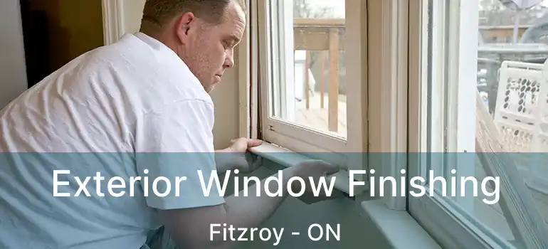  Exterior Window Finishing Fitzroy - ON