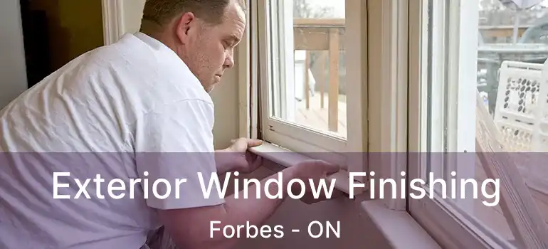  Exterior Window Finishing Forbes - ON