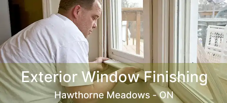  Exterior Window Finishing Hawthorne Meadows - ON