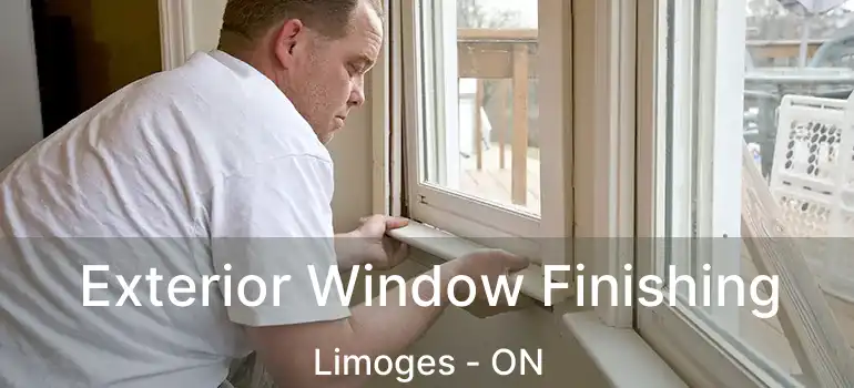  Exterior Window Finishing Limoges - ON