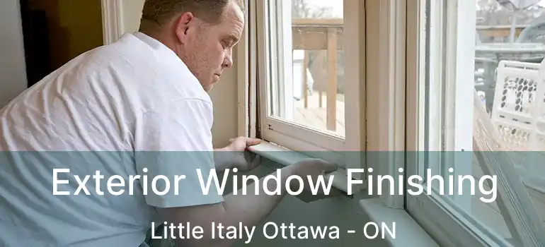  Exterior Window Finishing Little Italy Ottawa - ON