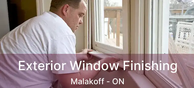  Exterior Window Finishing Malakoff - ON