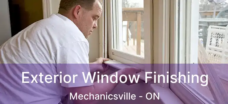  Exterior Window Finishing Mechanicsville - ON