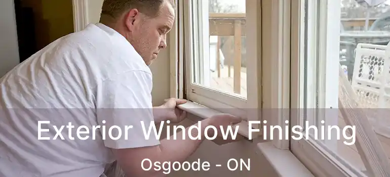  Exterior Window Finishing Osgoode - ON