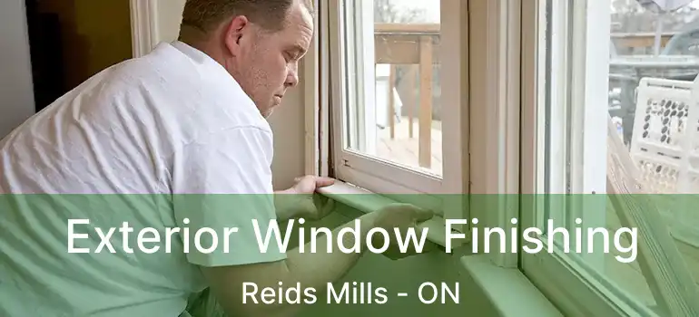  Exterior Window Finishing Reids Mills - ON