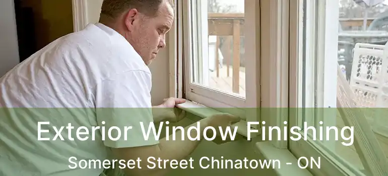  Exterior Window Finishing Somerset Street Chinatown - ON