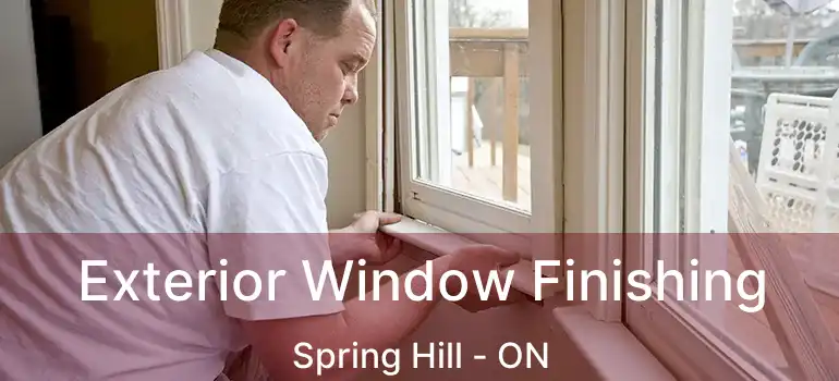  Exterior Window Finishing Spring Hill - ON