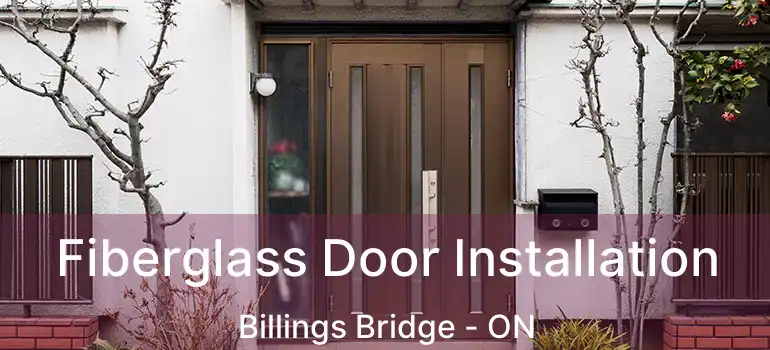  Fiberglass Door Installation Billings Bridge - ON