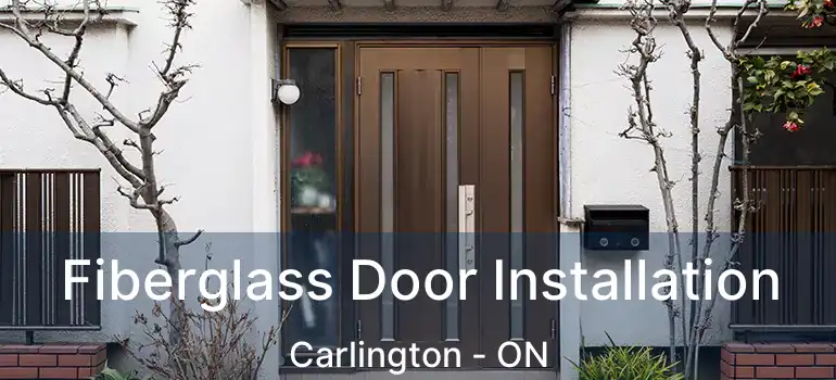  Fiberglass Door Installation Carlington - ON