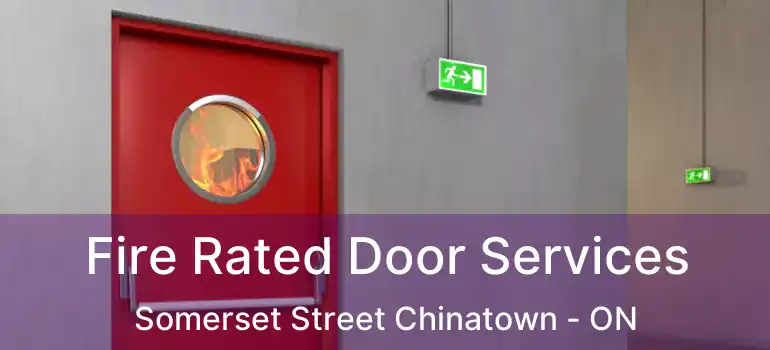  Fire Rated Door Services Somerset Street Chinatown - ON