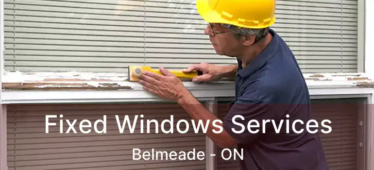  Fixed Windows Services Belmeade - ON