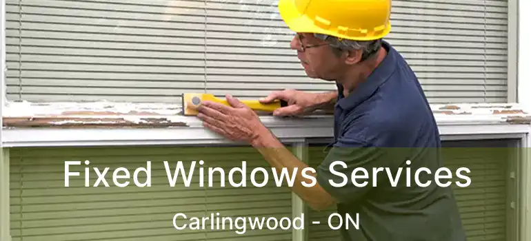  Fixed Windows Services Carlingwood - ON