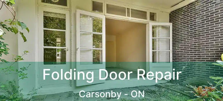  Folding Door Repair Carsonby - ON