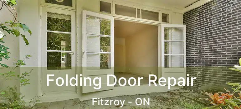  Folding Door Repair Fitzroy - ON