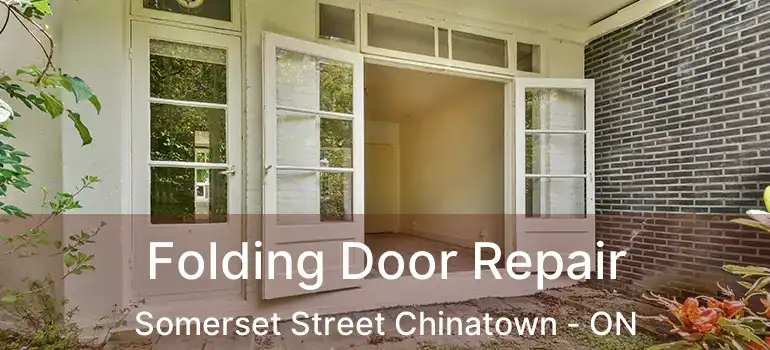  Folding Door Repair Somerset Street Chinatown - ON