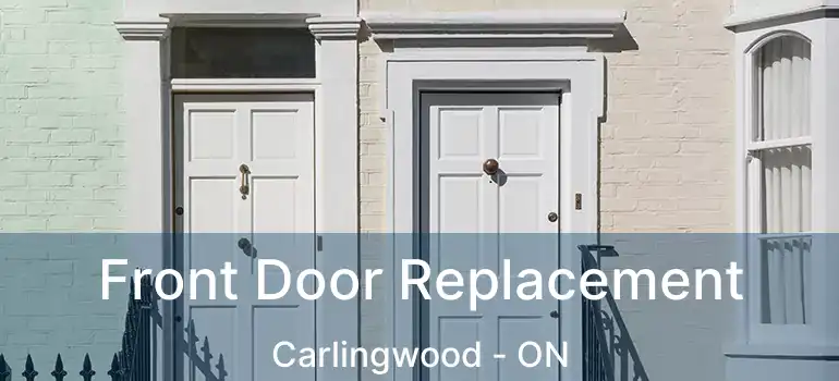  Front Door Replacement Carlingwood - ON