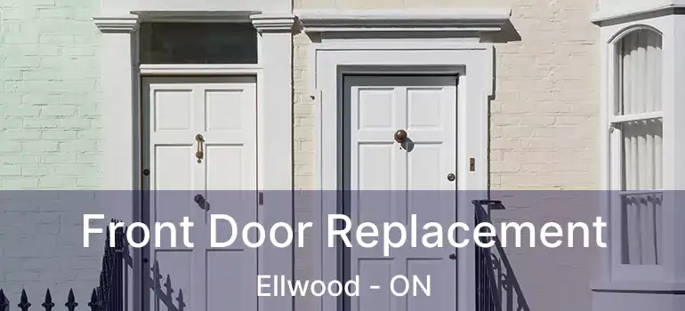  Front Door Replacement Ellwood - ON