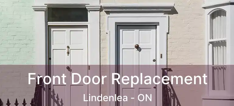  Front Door Replacement Lindenlea - ON