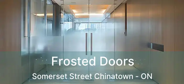  Frosted Doors Somerset Street Chinatown - ON