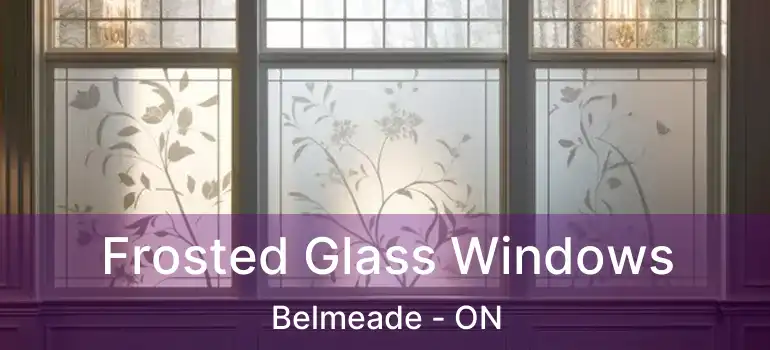  Frosted Glass Windows Belmeade - ON