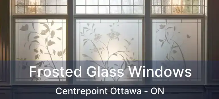  Frosted Glass Windows Centrepoint Ottawa - ON