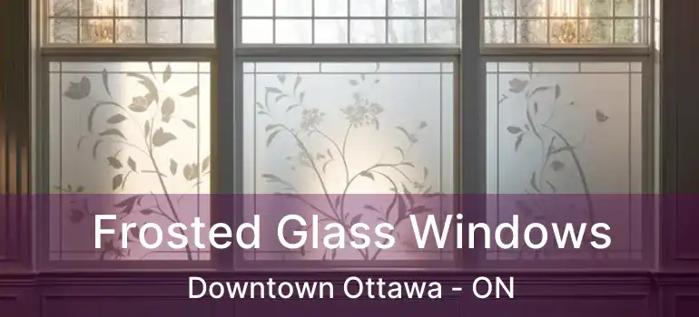  Frosted Glass Windows Downtown Ottawa - ON