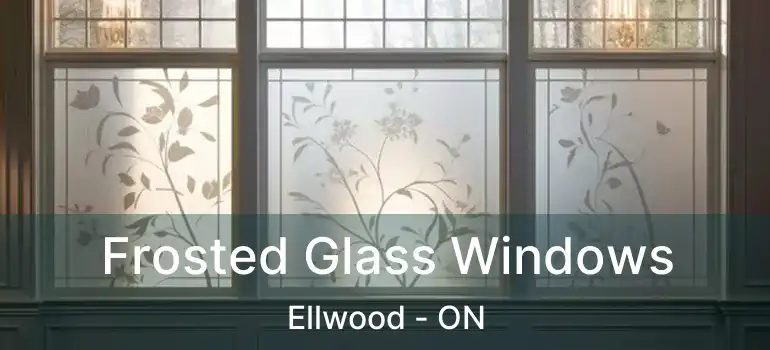  Frosted Glass Windows Ellwood - ON