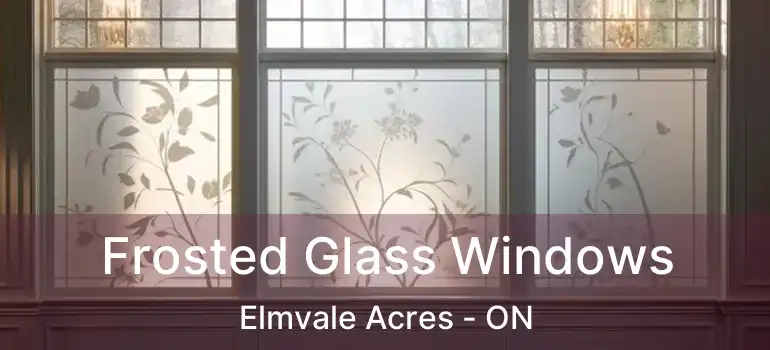  Frosted Glass Windows Elmvale Acres - ON