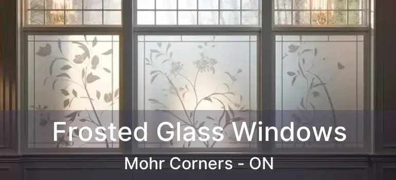  Frosted Glass Windows Mohr Corners - ON