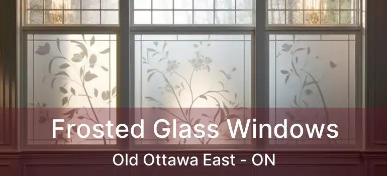  Frosted Glass Windows Old Ottawa East - ON