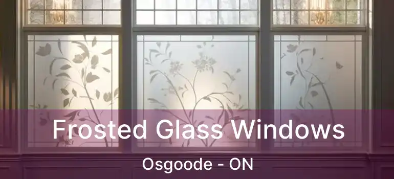  Frosted Glass Windows Osgoode - ON