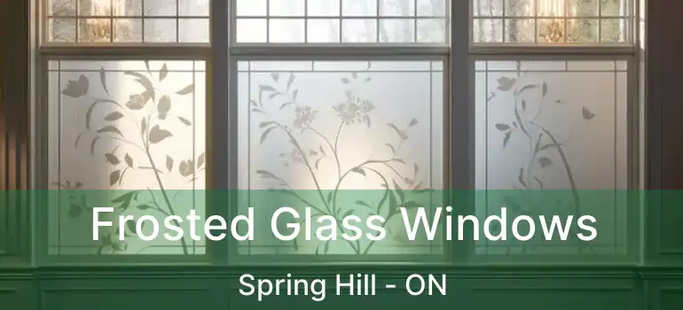  Frosted Glass Windows Spring Hill - ON