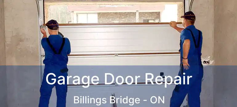  Garage Door Repair Billings Bridge - ON