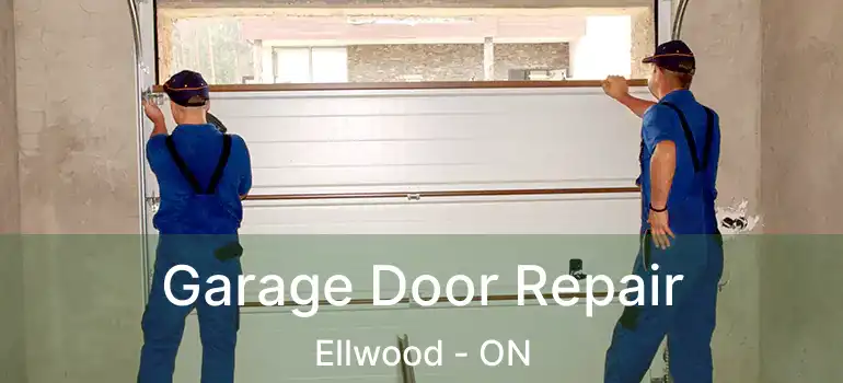  Garage Door Repair Ellwood - ON