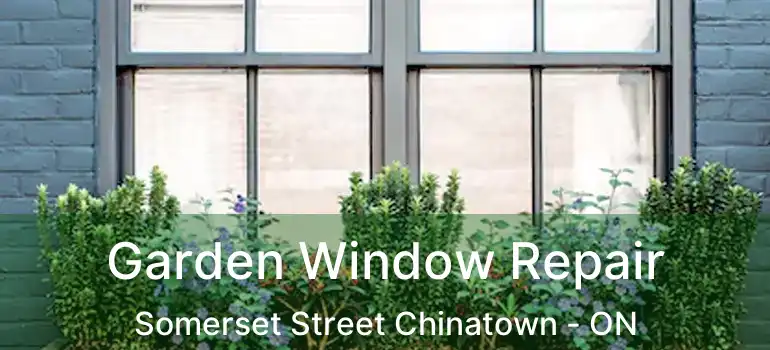  Garden Window Repair Somerset Street Chinatown - ON