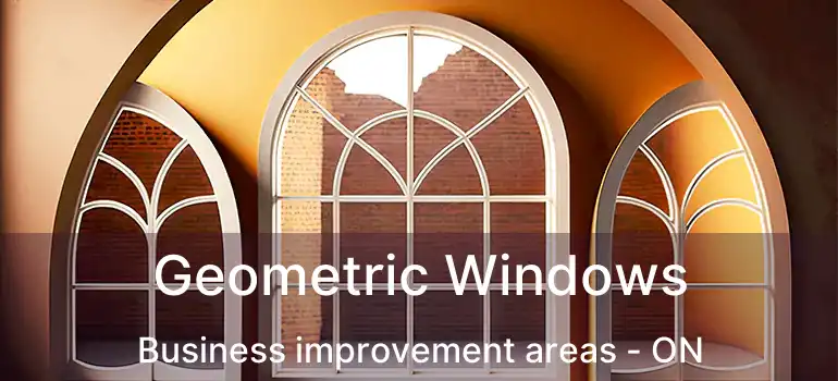  Geometric Windows Business improvement areas - ON