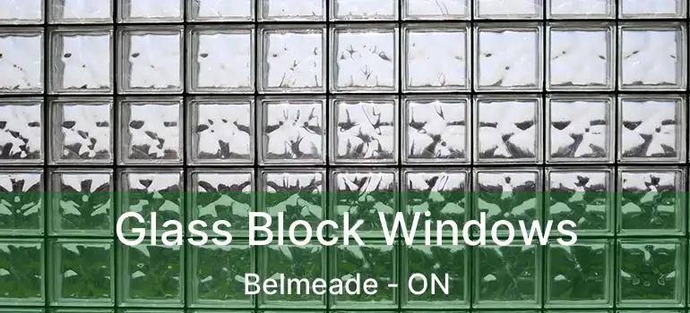  Glass Block Windows Belmeade - ON