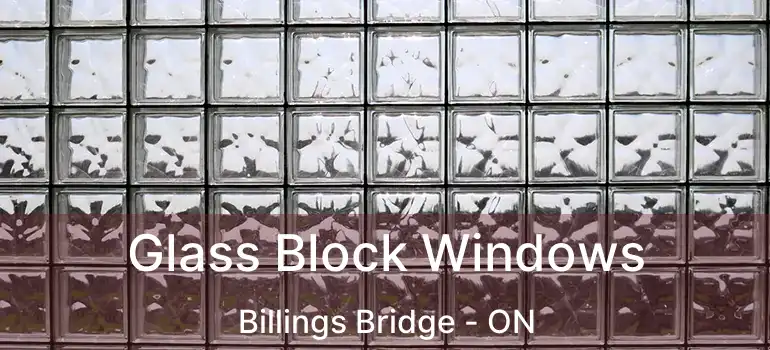  Glass Block Windows Billings Bridge - ON