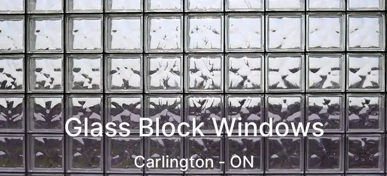  Glass Block Windows Carlington - ON