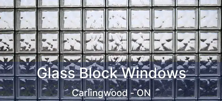  Glass Block Windows Carlingwood - ON