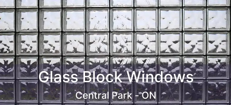  Glass Block Windows Central Park - ON