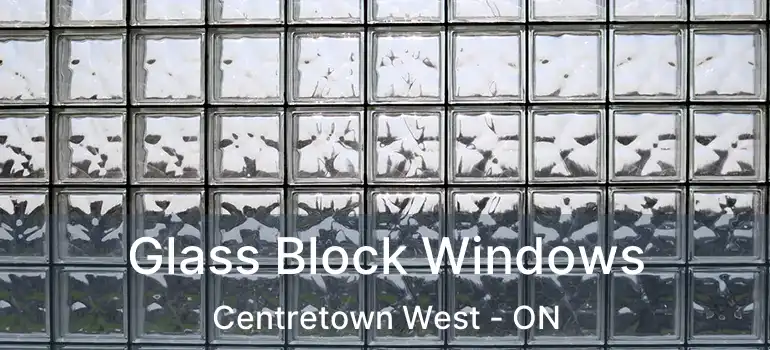  Glass Block Windows Centretown West - ON